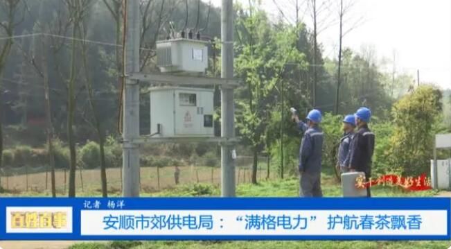 关于安顺市郊供电局：护航春茶保茶企用电无忧的资讯(6)