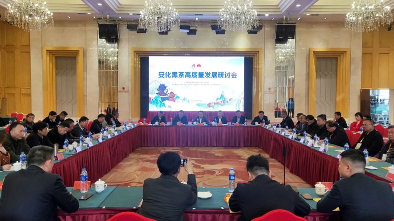 关于白沙溪的内容