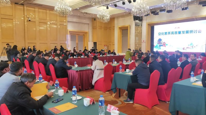 关于白沙溪的内容(7)