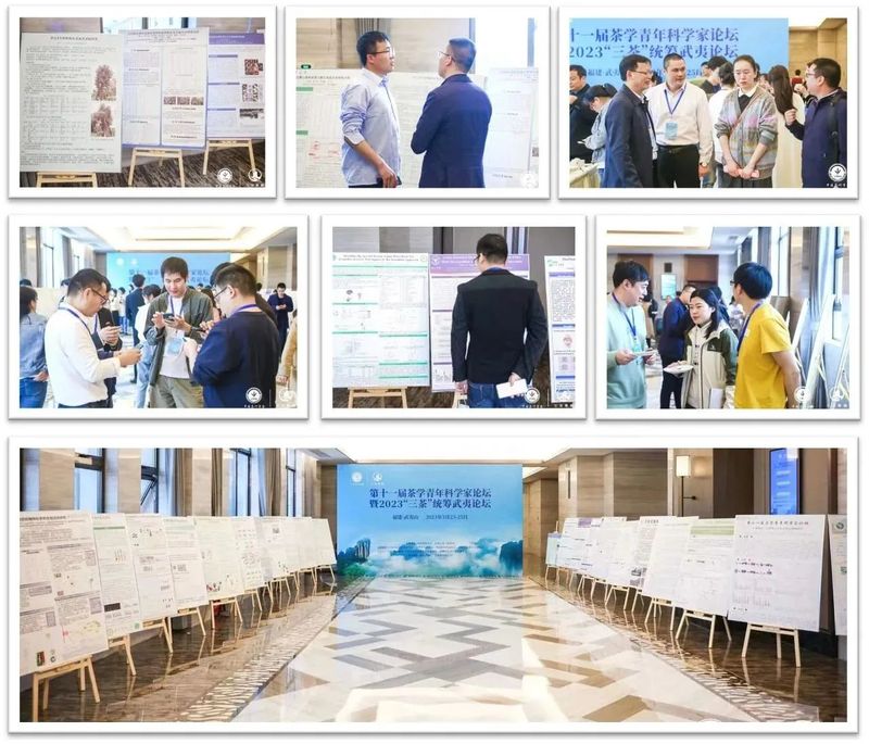 关于第十一届茶学青年科学家论坛暨2023“三茶”统筹武夷论坛举办的新闻(12)