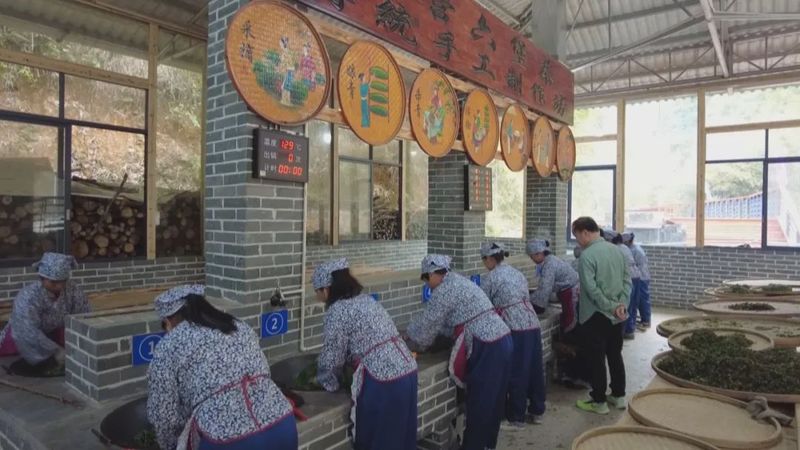 关于传统工艺碰撞现代科技 推动六堡茶产业发展的新闻(1)