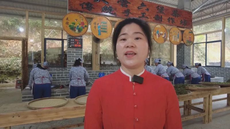 关于传统工艺碰撞现代科技 推动六堡茶产业发展的新闻(2)