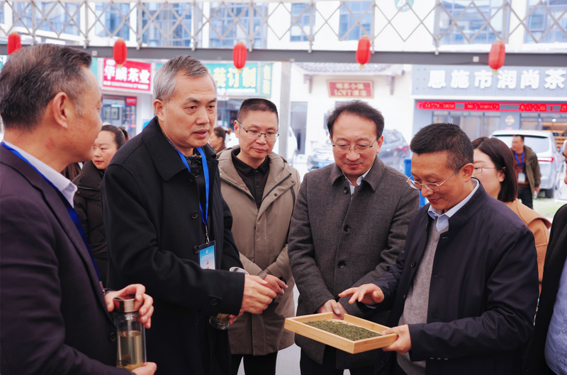 有关于签约金额超2亿！2023恩施硒茶采购商大会隆重举行！的相关内容(2)