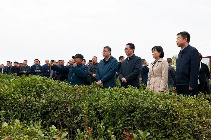 关于陕西省茶产业链建设工作会议在平利县召开的资讯