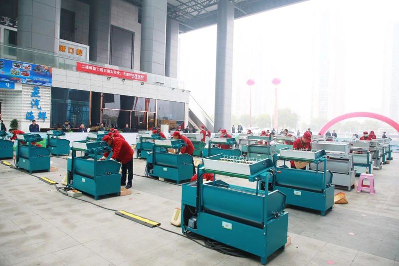 关于斗技艺,享龙井——2023“越乡杯”浙江省龙井茶炒制大赛在嵊州开赛的信息(2)