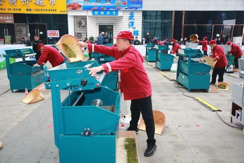 关于斗技艺,享龙井——2023“越乡杯”浙江省龙井茶炒制大赛在嵊州开赛的信息(17)