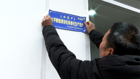 有关于首批太平猴魁清洁化标准化生产农户标识牌发放的最新消息