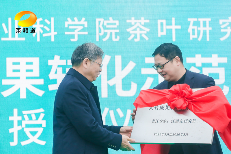 有关于2023首届“巴山青”茶文化节暨第七届“大竹白茶”喊山开茶节圆满举行的新闻(7)