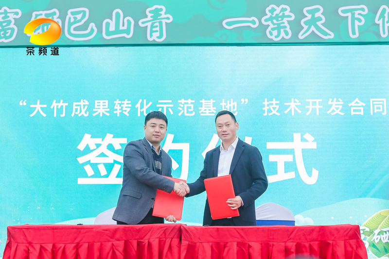 有关于2023首届“巴山青”茶文化节暨第七届“大竹白茶”喊山开茶节圆满举行的新闻(9)