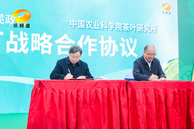 有关于2023首届“巴山青”茶文化节暨第七届“大竹白茶”喊山开茶节圆满举行的新闻(8)