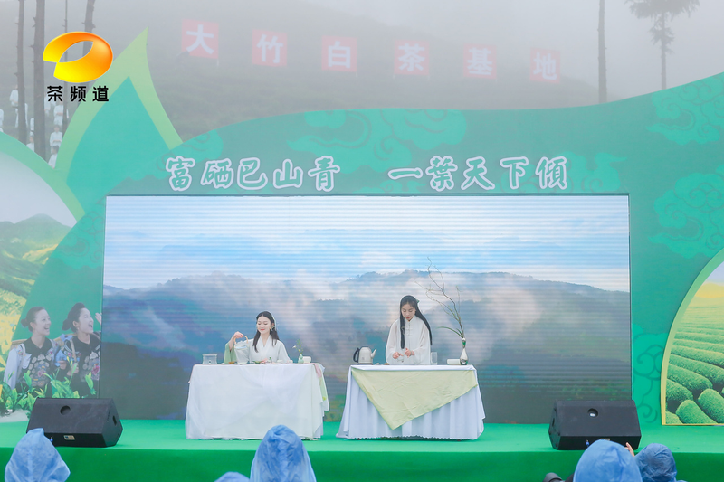有关于2023首届“巴山青”茶文化节暨第七届“大竹白茶”喊山开茶节圆满举行的新闻(11)