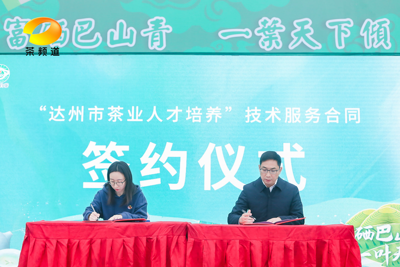 有关于2023首届“巴山青”茶文化节暨第七届“大竹白茶”喊山开茶节圆满举行的新闻(10)