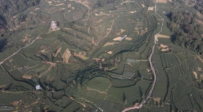 关于四川雅安茶乡十二时辰的相关信息(4)