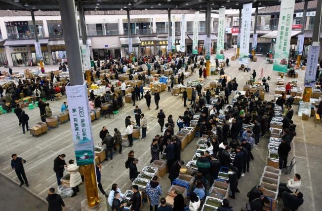 关于四川雅安茶乡十二时辰的相关信息(1)