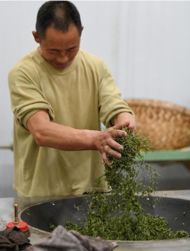 关于四川雅安茶乡十二时辰的相关信息