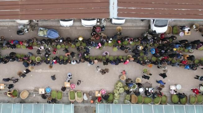 关于四川雅安茶乡十二时辰的相关信息(3)