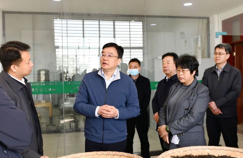 关于咸阳市人大主任汪文展对市茯茶产业高质量发展开展专题调研的消息(1)