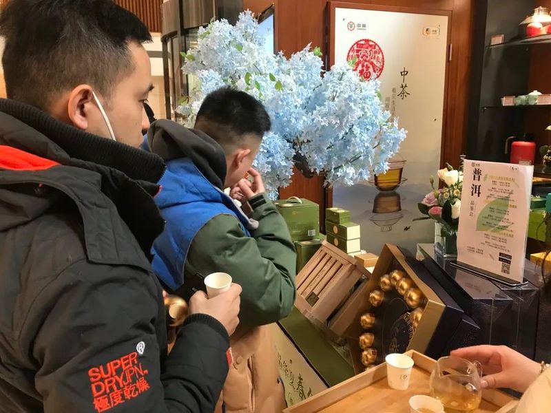 有关于中茶的相关信息(5)