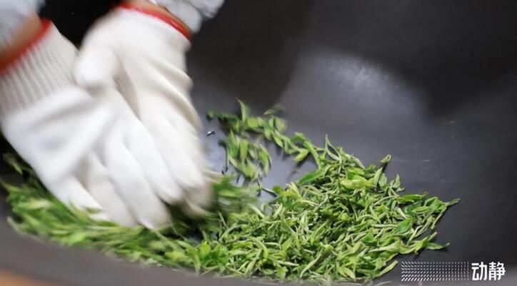 有关于黔东南州丹寨：抢“鲜”赶制春茶，全力保供市场的最新消息(5)