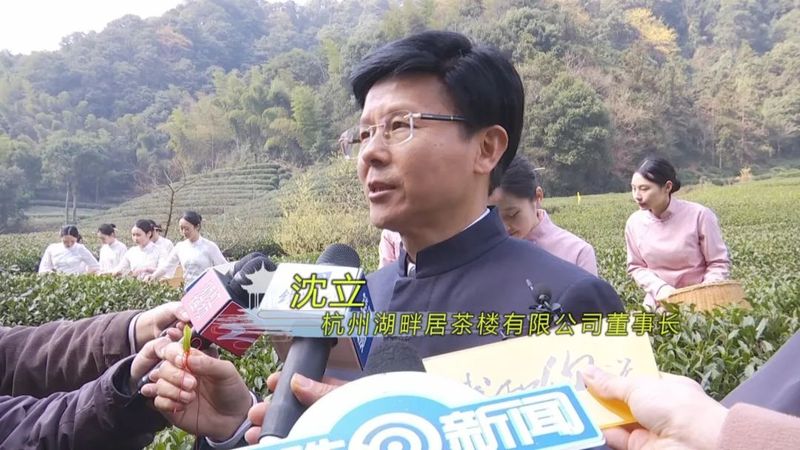 有关于西湖龙井开采日 高山茶园摘下第一茬青叶的消息(2)