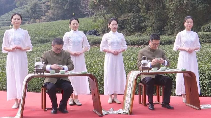 有关于西湖龙井开采日 高山茶园摘下第一茬青叶的消息(1)