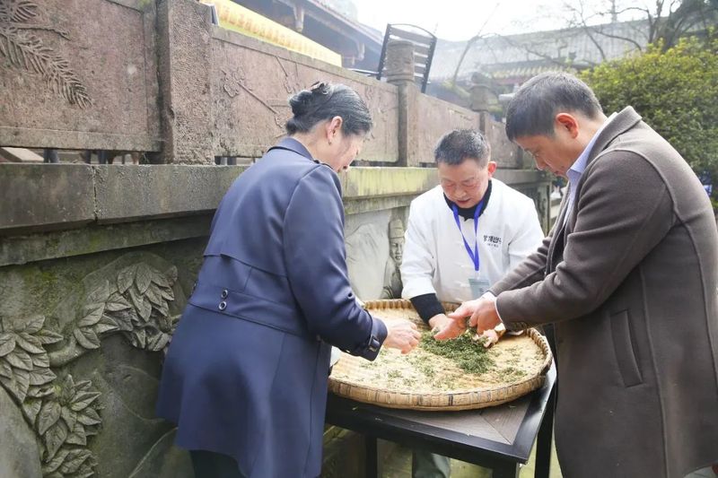 有关于2023年惊蛰祭茶全球联动暨蒙顶山茶核心区原真性保护春季祭祖开园仪式在蒙顶山举行的资讯(12)