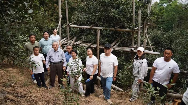 关于探源“老安寨”贡茶园座谈交流会在茨竹林村老安寨专业合作社召开的相关信息(3)