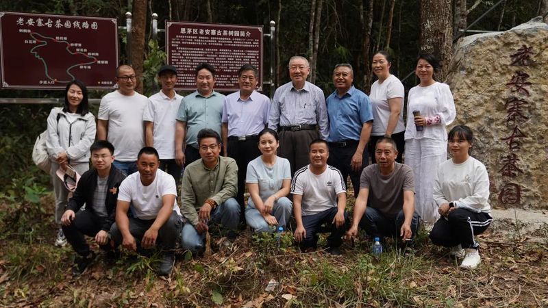 关于探源“老安寨”贡茶园座谈交流会在茨竹林村老安寨专业合作社召开的相关信息