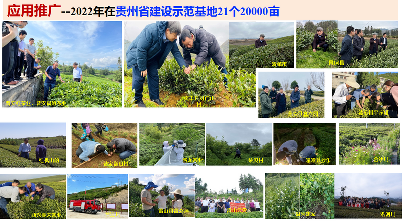 有关于宋宝安:恪守“干净”是贵州茶产业发展的永恒追求的新闻(11)