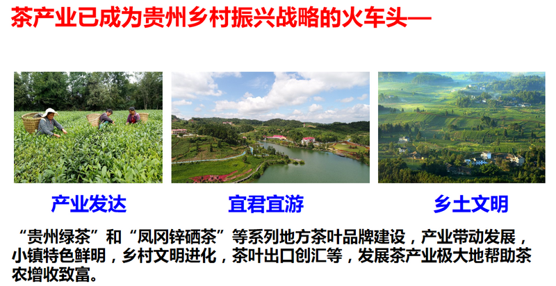 有关于宋宝安:恪守“干净”是贵州茶产业发展的永恒追求的新闻(2)