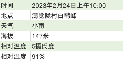 关于2023西湖龙井之声③茶芽监测 茶芽宝宝成长数据速递的最新消息(9)