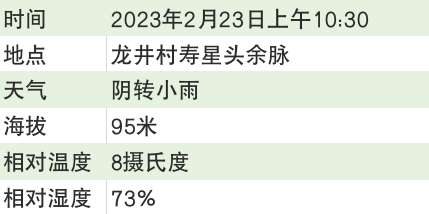 关于2023西湖龙井之声③茶芽监测 茶芽宝宝成长数据速递的最新消息(5)