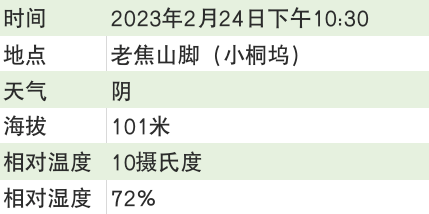 关于2023西湖龙井之声③茶芽监测 茶芽宝宝成长数据速递的最新消息(7)