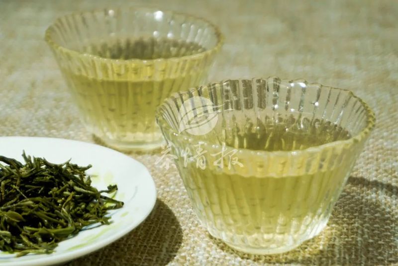 关于不饮春茶鲜,怎知春光美?春茶采摘已上日程啦!的新闻(4)