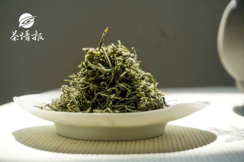 关于不饮春茶鲜,怎知春光美?春茶采摘已上日程啦!的新闻(9)