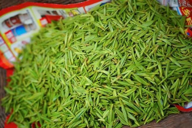 有关于安康平利：长安镇首轮春茶开园采摘的新闻(4)