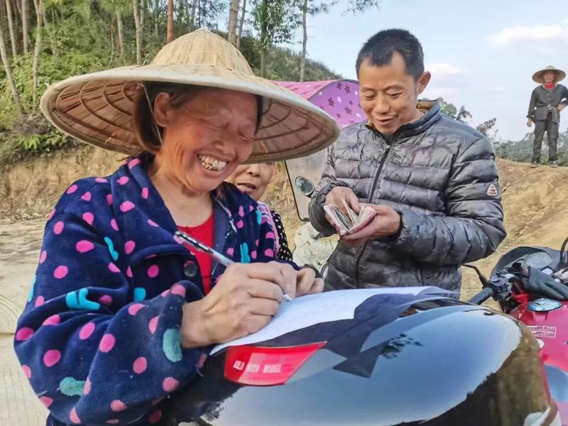 有关于乐山定文镇春暖茶飘香，茶农采摘忙！的资讯(5)