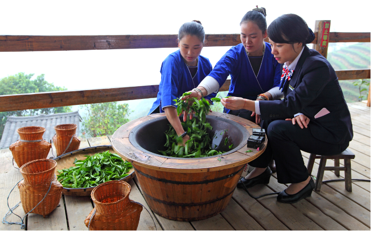 有关于邮储绿“点翠”三江茶 助特色产业抓时节“抢”市场的资讯