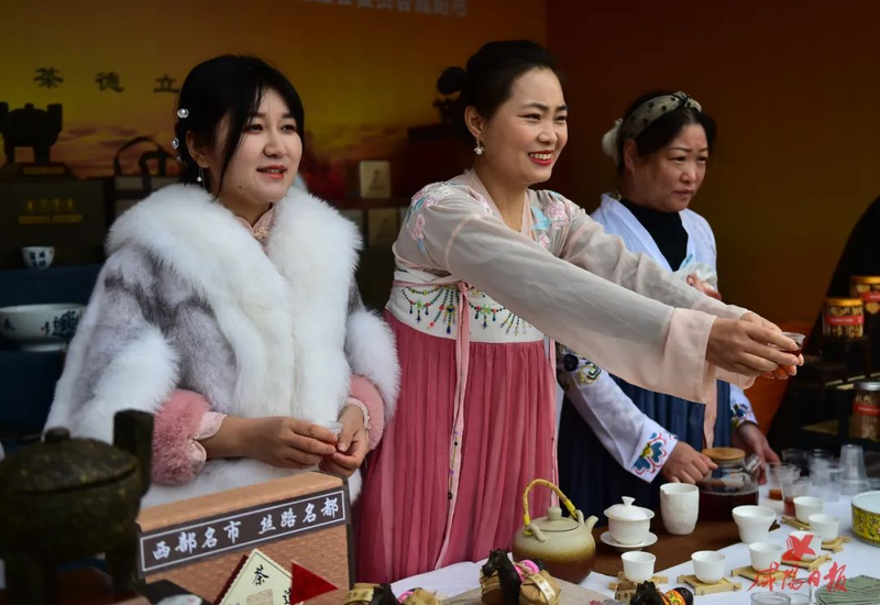 有关于中国咸阳·国际茯茶文化养生节圆满闭幕的内容(2)