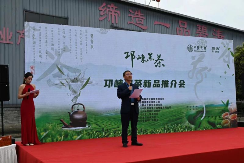 有关于​“邛崃黑茶”2023年度新品发布在碧涛茶业举行的最新消息(4)