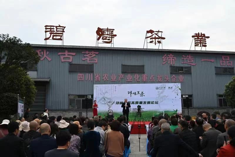 有关于​“邛崃黑茶”2023年度新品发布在碧涛茶业举行的最新消息(1)