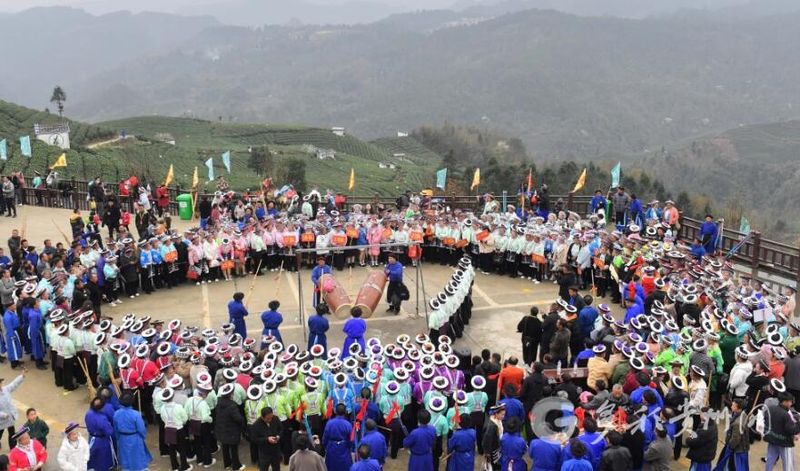 有关于贵州贵定：载歌载舞喜迎春茶开采的新闻(1)