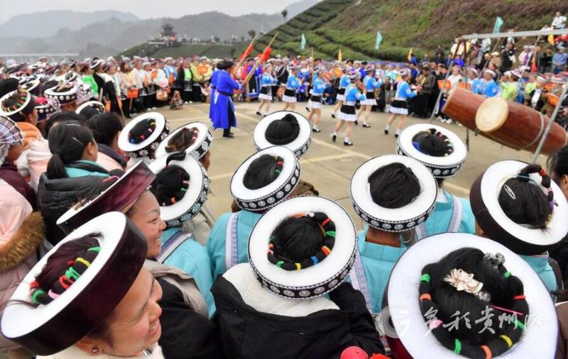 有关于贵州贵定：载歌载舞喜迎春茶开采的新闻(2)