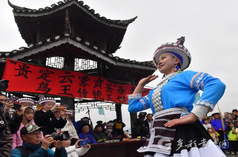 有关于贵州贵定：载歌载舞喜迎春茶开采的新闻(3)