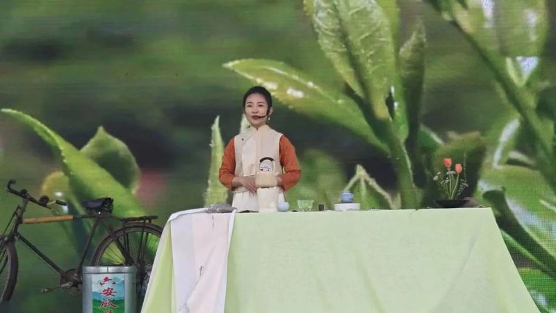 有关于六安市2023年茶艺职业技能大赛落下帷幕的新闻(5)