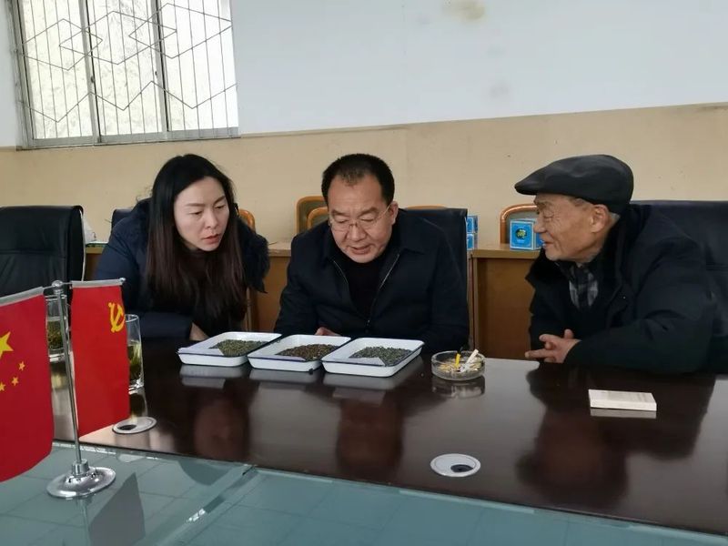 关于平武县 “高言值”献计 助力茶叶产业高质量发展的资讯