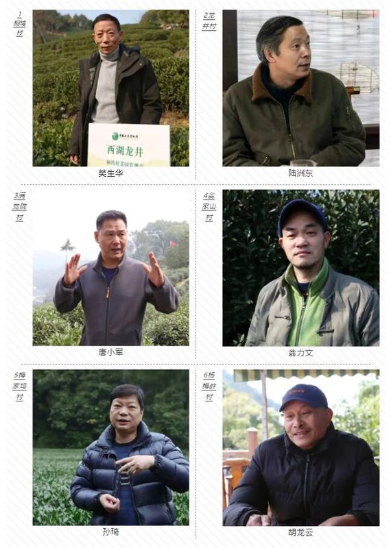 有关于2023西湖龙井之声② 茶芽监测 6位传承人守护 遇见18颗茶芽宝宝，今年的监测不一般！的相关内容(2)