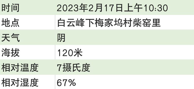有关于2023西湖龙井之声② 茶芽监测 6位传承人守护 遇见18颗茶芽宝宝，今年的监测不一般！的相关内容(10)