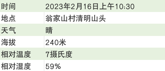 有关于2023西湖龙井之声② 茶芽监测 6位传承人守护 遇见18颗茶芽宝宝，今年的监测不一般！的相关内容(3)