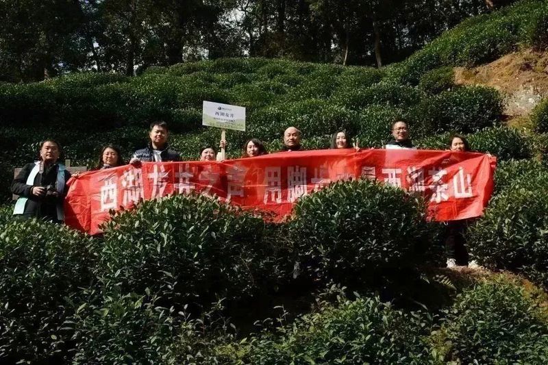 有关于2023西湖龙井之声② 茶芽监测 6位传承人守护 遇见18颗茶芽宝宝，今年的监测不一般！的相关内容(43)